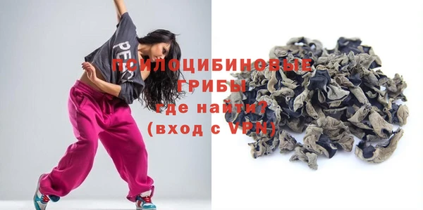 соль курить ск Новозыбков