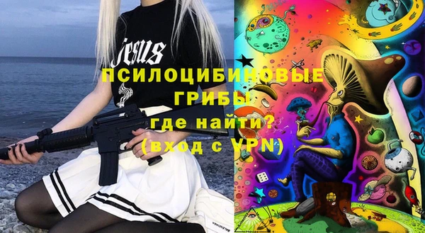 apvp Нея