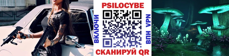 Псилоцибиновые грибы Psilocybe  цена наркотик  kraken ссылки  Нижняя Салда 